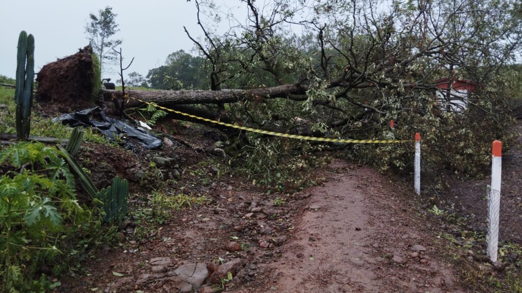 Governo confirma passagem de tornado onde uma pessoa morreu no Oeste de Santa Catarina