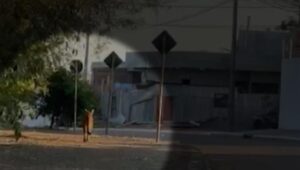 Onça-parda aparece na APAE e assusta funcionário em Cascavel.