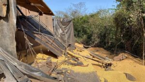 Grave acidente foi registrado na BR-163 em Capitão Leônidas Marques